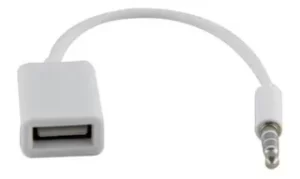 Cable Jack Mini Plug Auxiliar 3.5mm Usb Hembra