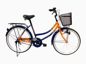 Bicicleta Paseo Rim24'' Andreina